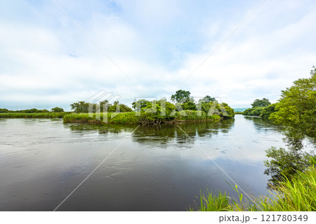 【北海道_釧路湿原】湿原を流れる釧路川 7月 【北海道_釧路湿原】湿原を流れる釧路川 7月 121780349