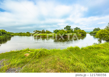 【北海道_釧路湿原】湿原を流れる釧路川 7月 121780356