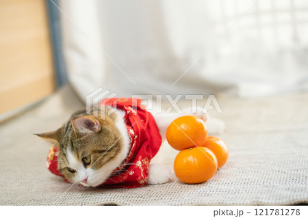 flatlay design for chinese new year concept with red envelope orange and gold on red background 121781278