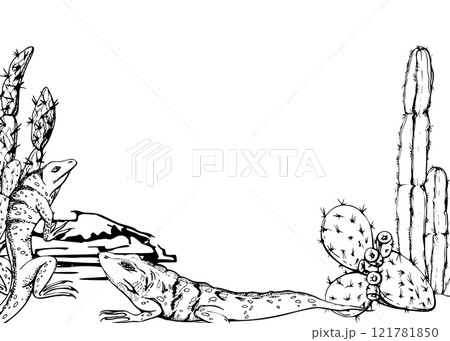 Desert plant succulent cactus nopal, Wildlife iguana lizard reptile animal pet. Hand drawn ink vector illustration, isolated border frame. Travel, vacation brochure, print, zoo botanical garden ads Desert plant succulent cactus nopal, Wildlife iguana lizard reptile animal pet. Hand drawn ink vector illustration, isolated border frame. Travel, vacation brochure, print, zoo botanical garden ads 121781850
