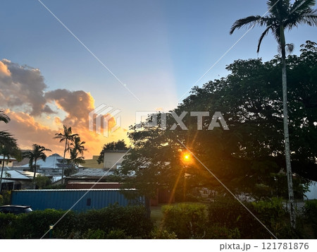 南国の空に映えるヤシの木 南国の空に映えるヤシの木 121781876