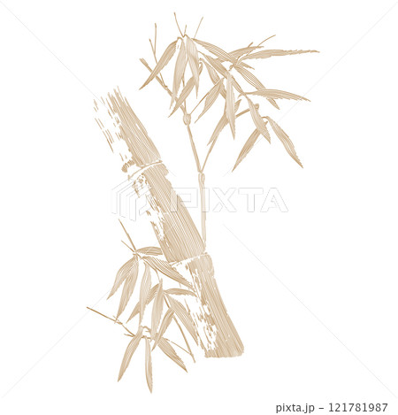 Hand drawn branch of bamboo leaves element with Japanese pattern vector. Oriental decoration with logo design, flyer or presentation in vintage style. 121781987