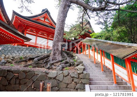 朱に彩られた優美な日御碕神社(鳥取県出雲市) 朱に彩られた優美な日御碕神社(鳥取県出雲市) 121781991