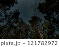 Stargazing under a clear night sky in a forested area 121782972