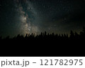 Stars illuminate a forest landscape under a clear night sky filled with the Milky Way 121782975