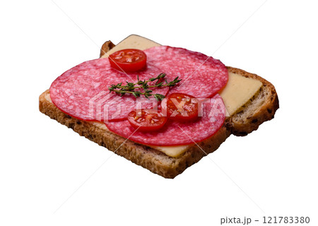 Sandwich with toast, salami slices, cheese and tomatoes, salt and spices Sandwich with toast, salami slices, cheese and tomatoes, salt and spices 121783380