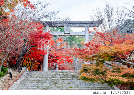 秋の竈門神社　福岡県太宰府市 121783528