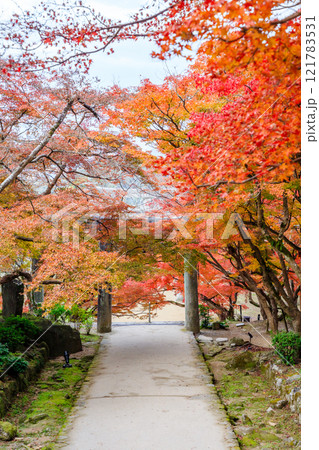 秋の竈門神社　福岡県太宰府市 121783531