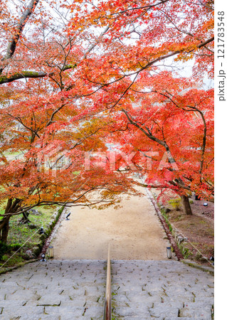 秋の竈門神社　福岡県太宰府市 121783548