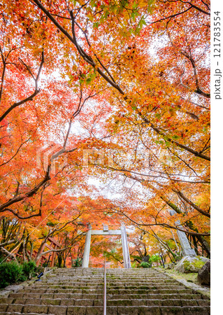 秋の竈門神社　福岡県太宰府市 121783554