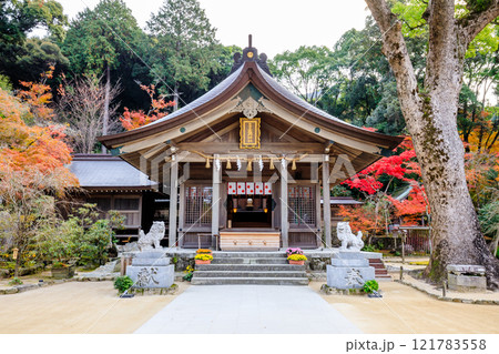 秋の竈門神社　福岡県太宰府市 121783558