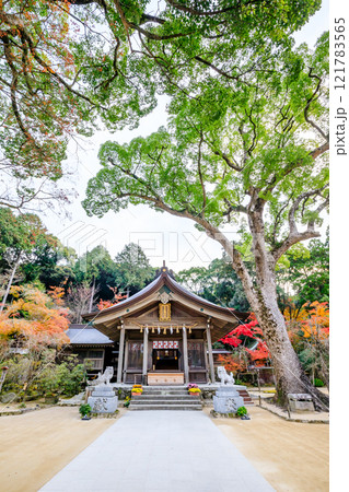 秋の竈門神社　福岡県太宰府市 121783565