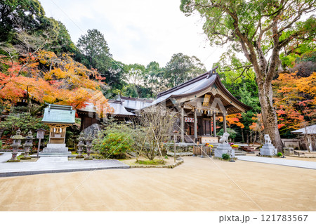 秋の竈門神社　福岡県太宰府市 121783567
