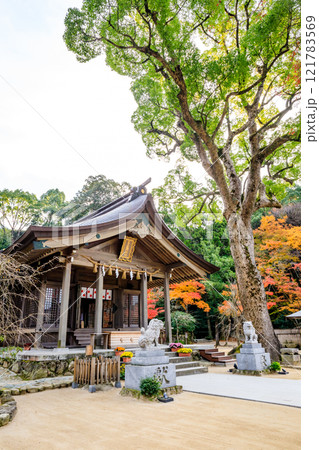 秋の竈門神社 福岡県太宰府市 秋の竈門神社 福岡県太宰府市 121783569