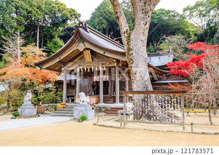 秋の竈門神社　福岡県太宰府市 121783571