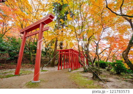秋の竈門神社　式部稲荷社　福岡県太宰府市 121783573