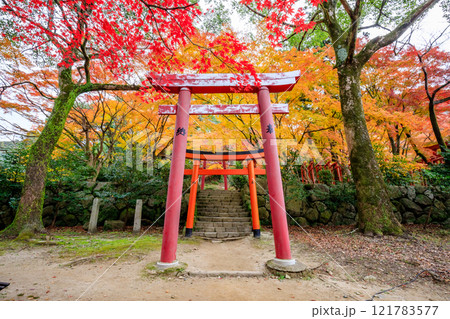 秋の竈門神社　式部稲荷社　福岡県太宰府市 121783577