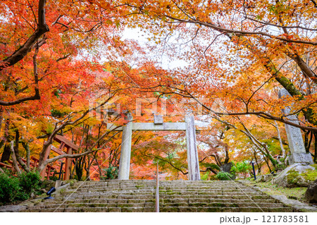 秋の竈門神社 福岡県太宰府市 秋の竈門神社 福岡県太宰府市 121783581