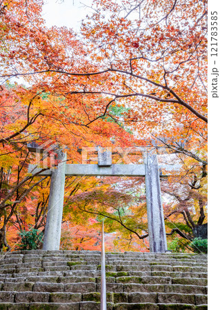 秋の竈門神社 福岡県太宰府市 秋の竈門神社 福岡県太宰府市 121783585
