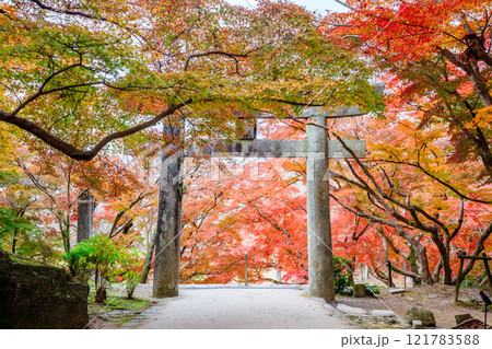 秋の竈門神社 福岡県太宰府市 秋の竈門神社 福岡県太宰府市 121783588