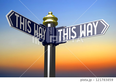 This way - signpost with two arrows - 3D illustration This way - signpost with two arrows - 3D illustration 121783859