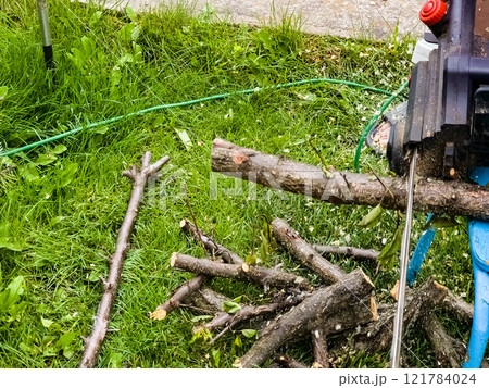 A man cuts down a tree with an electric saw. Sawdust flies in all directions from the chainsaw. Cutting wood with a chain saw 121784024