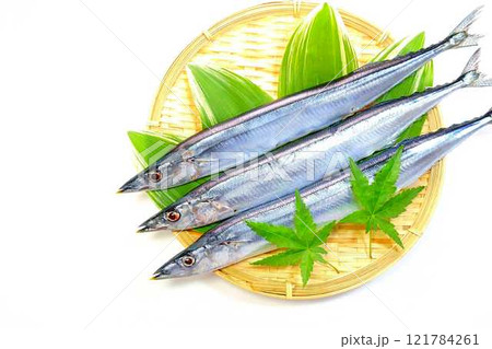 サンマ 秋刀魚 さんま サンマ 秋刀魚 さんま 121784261