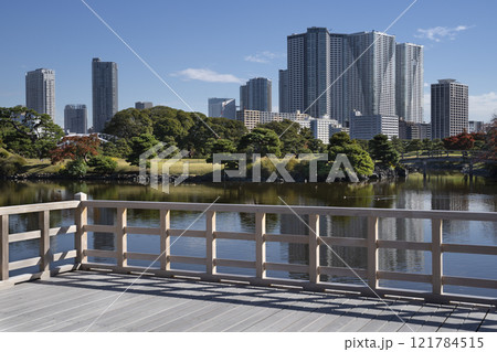 Japan, Tokyo, Hamarikyu Garden in momiji season. 121784515