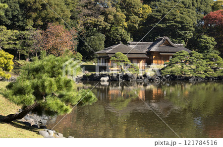 Japan, Tokyo, Hamarikyu Garden in momiji season. Japan, Tokyo, Hamarikyu Garden in momiji season. 121784516