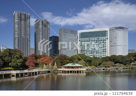 Japan, Tokyo, Hamarikyu Garden in momiji season. 121784639