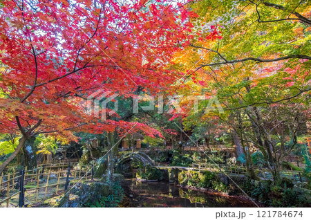 聖宝寺　庭園　鳴谷山聖宝寺　紅葉の名所　いなべ市　三重県 121784674
