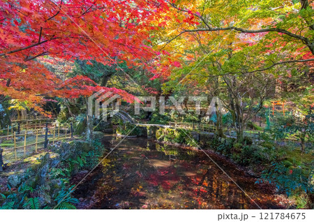 聖宝寺　庭園　鳴谷山聖宝寺　紅葉の名所　いなべ市　三重県 121784675