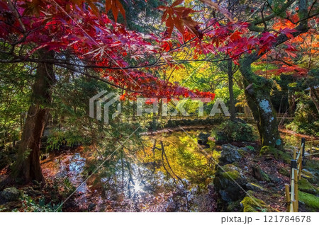 聖宝寺 庭園 鳴谷山聖宝寺 紅葉の名所 いなべ市 三重県 聖宝寺 庭園 鳴谷山聖宝寺 紅葉の名所 いなべ市 三重県 121784678