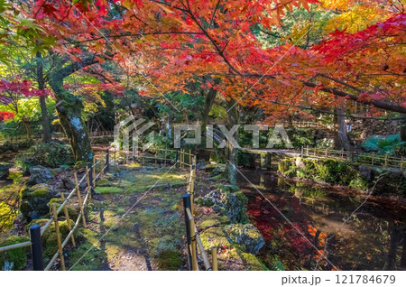 聖宝寺　庭園　鳴谷山聖宝寺　紅葉の名所　いなべ市　三重県 121784679