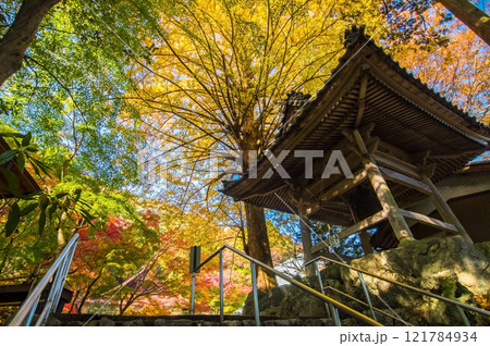 聖宝寺　鐘楼 　いちょうの木　鳴谷山聖宝寺　紅葉の名所　いなべ市　三重県 121784934