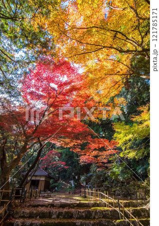 聖宝寺 紅葉の名所 血のもみじ 庭園 鳴谷山聖宝寺 いなべ市 三重県 聖宝寺 紅葉の名所 血のもみじ 庭園 鳴谷山聖宝寺 いなべ市 三重県 121785171