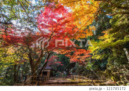 聖宝寺 紅葉の名所 血のもみじ 庭園 鳴谷山聖宝寺 いなべ市 三重県 聖宝寺 紅葉の名所 血のもみじ 庭園 鳴谷山聖宝寺 いなべ市 三重県 121785172