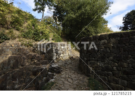 金山、登山、群馬県 121785215