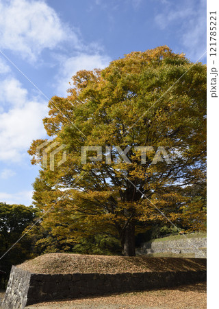 金山、登山、群馬県 121785221