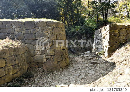 金山、登山、群馬県 121785240