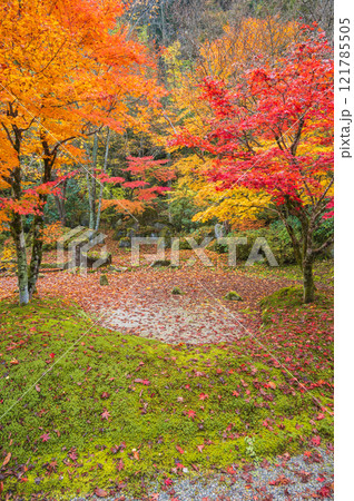 【定勝寺】枯山水庭園【木曽郡大桑村】 121785505
