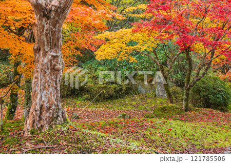 【定勝寺】枯山水庭園【木曽郡大桑村】 121785506