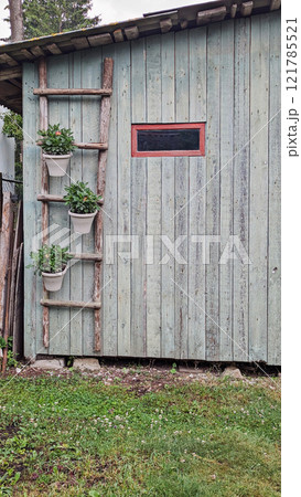 Rustic wooden shed with weathered teal planks, featuring handmade wooden ladder holding potted plants for a charming garden aesthetic 121785521