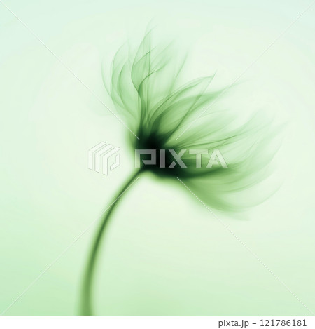 Sunflower with green and yellow petals moving in the wind. Abstract soft blurred natural background Sunflower with green and yellow petals moving in the wind. Abstract soft blurred natural background 121786181