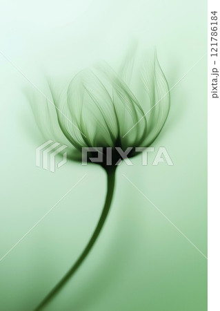 Sunflower with green and yellow petals moving in the wind. Abstract soft blurred natural background Sunflower with green and yellow petals moving in the wind. Abstract soft blurred natural background 121786184