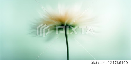 Sunflower with green and yellow petals moving in the wind. Abstract soft blurred natural background 121786190
