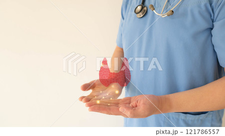 Thyroid gland anatomy on doctor hands. Awareness of thyroid disease such as hyperthyroidism hypothyroidism thyroiditis and Hashimoto thyroiditis. World thyroid day. Thyroid gland anatomy on doctor hands. Awareness of thyroid disease such as hyperthyroidism hypothyroidism thyroiditis and Hashimoto thyroiditis. World thyroid day. 121786557