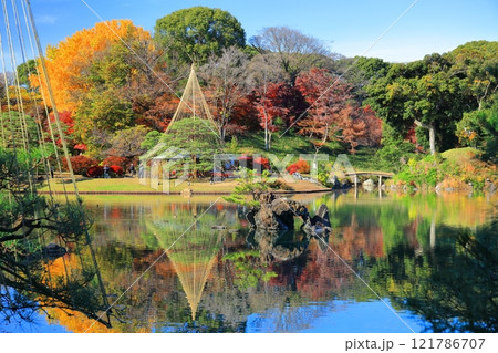 【東京都】快晴のシンメトリーな六義園の紅葉 【東京都】快晴のシンメトリーな六義園の紅葉 121786707