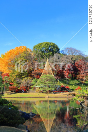 【東京都】快晴のシンメトリーな六義園の紅葉 121786710