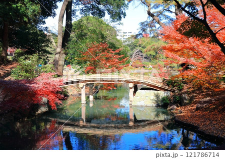 【東京都】快晴のシンメトリーな六義園の紅葉（千鳥橋） 121786714